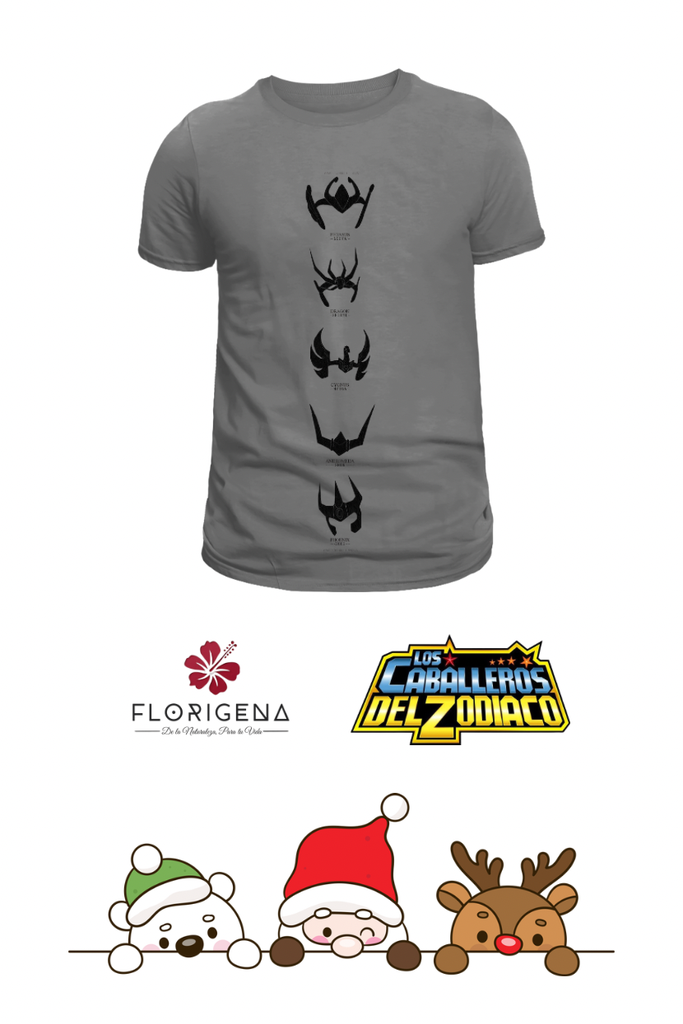 Caballeros del Zodíaco símbolos